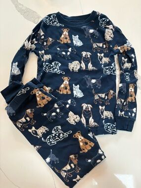 Boys 6T 🐕 PJs